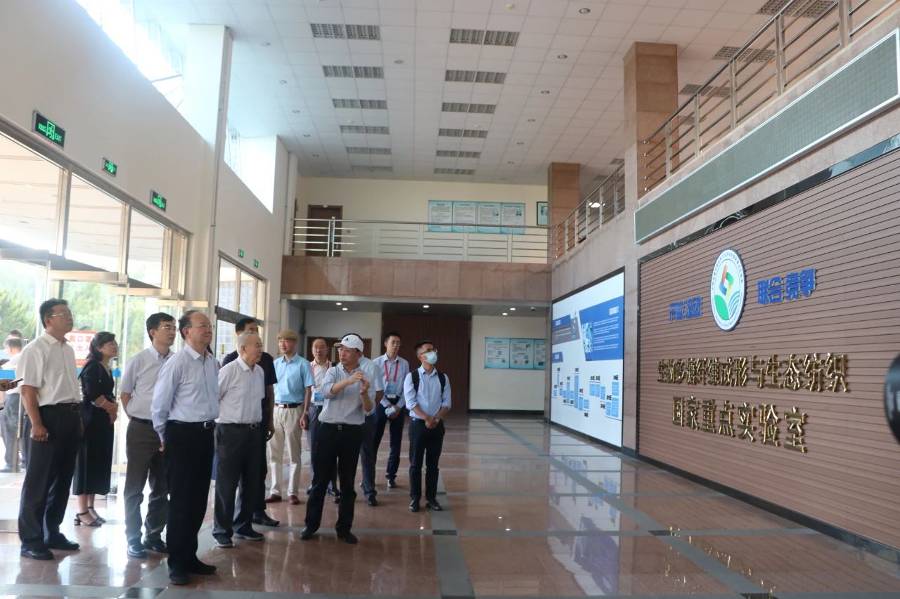 1599812863251818.jpg I.jpg